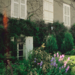 Green and living walls example on a suburban house