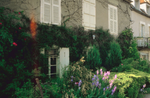 Green and living walls example on a suburban house