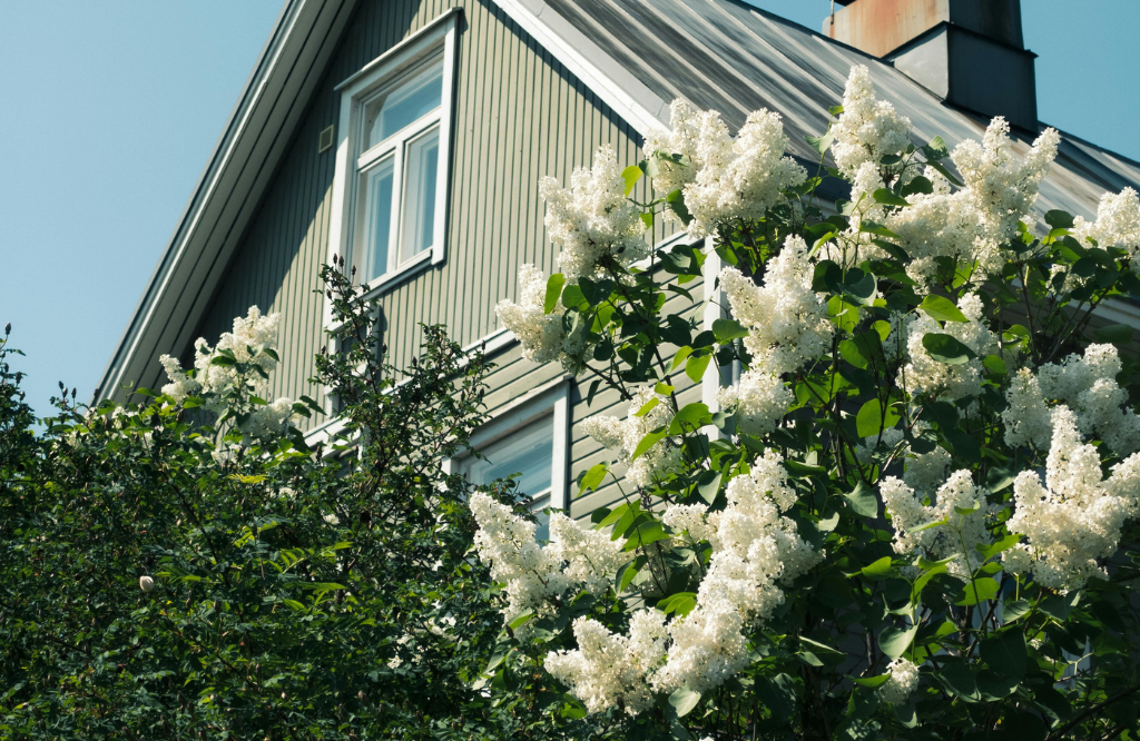 Green and living walls in a suburban area