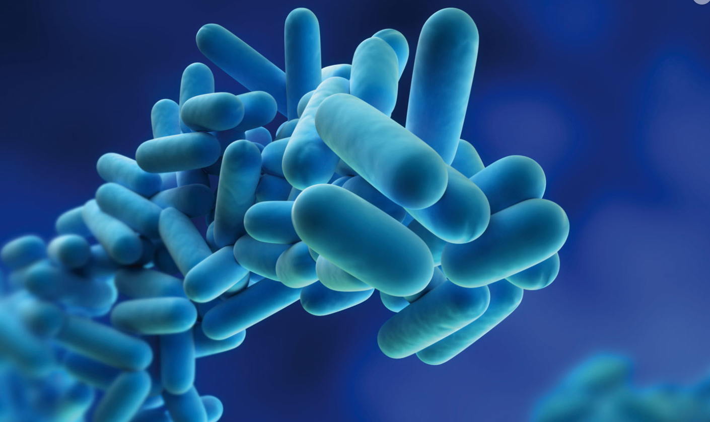 Legionella