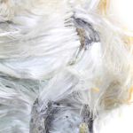 Asbestos in Homes