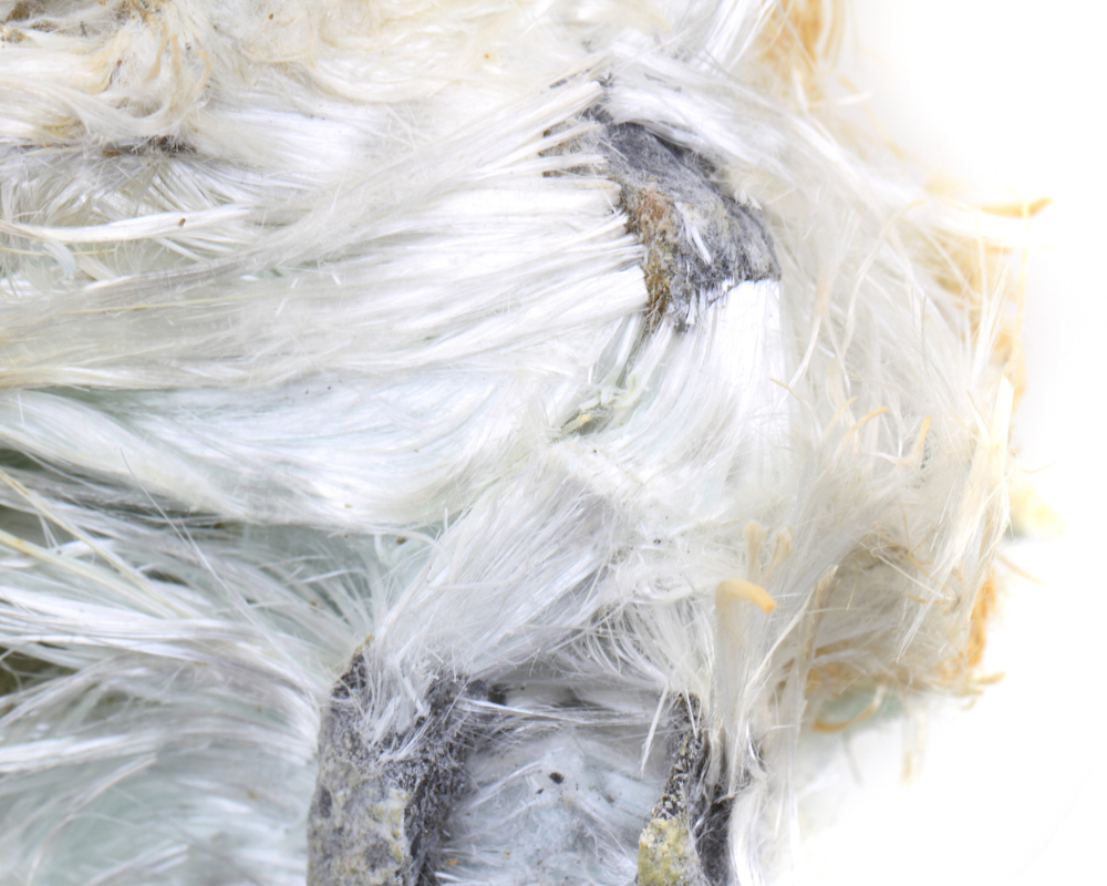 Asbestos in Homes